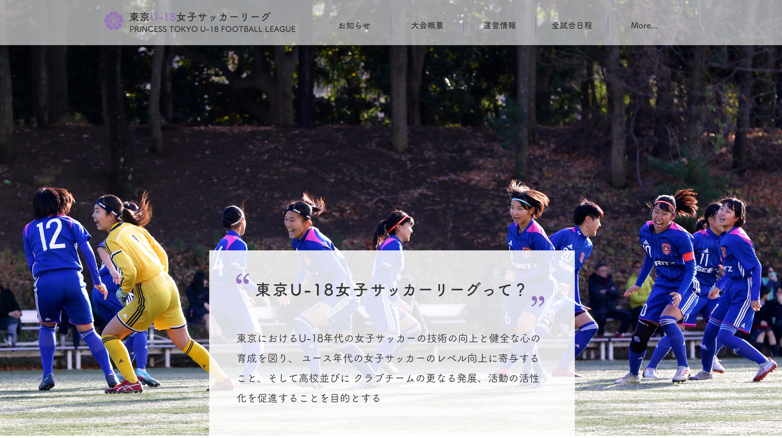 東京u 18女子サッカーリーグ プレシーズンがスタート Ssbee